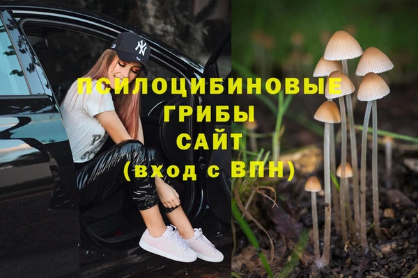 стаф Горнозаводск