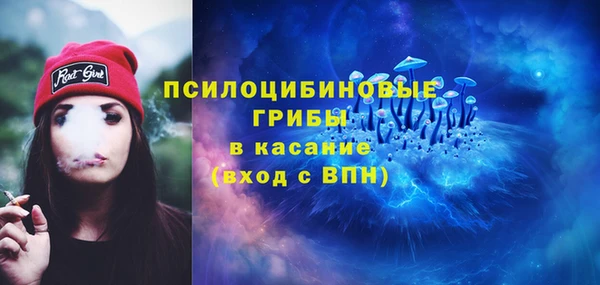 бутират Горняк