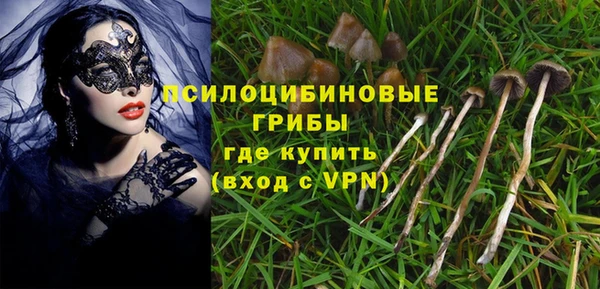 бутират Горняк