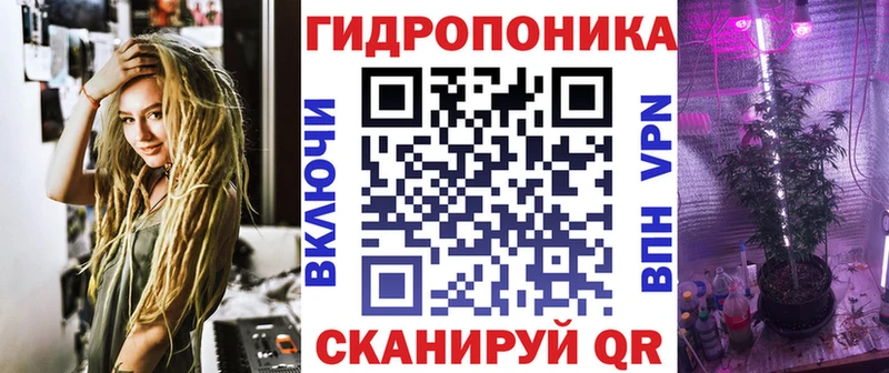 Шишки марихуана семена цена наркотик Злынка